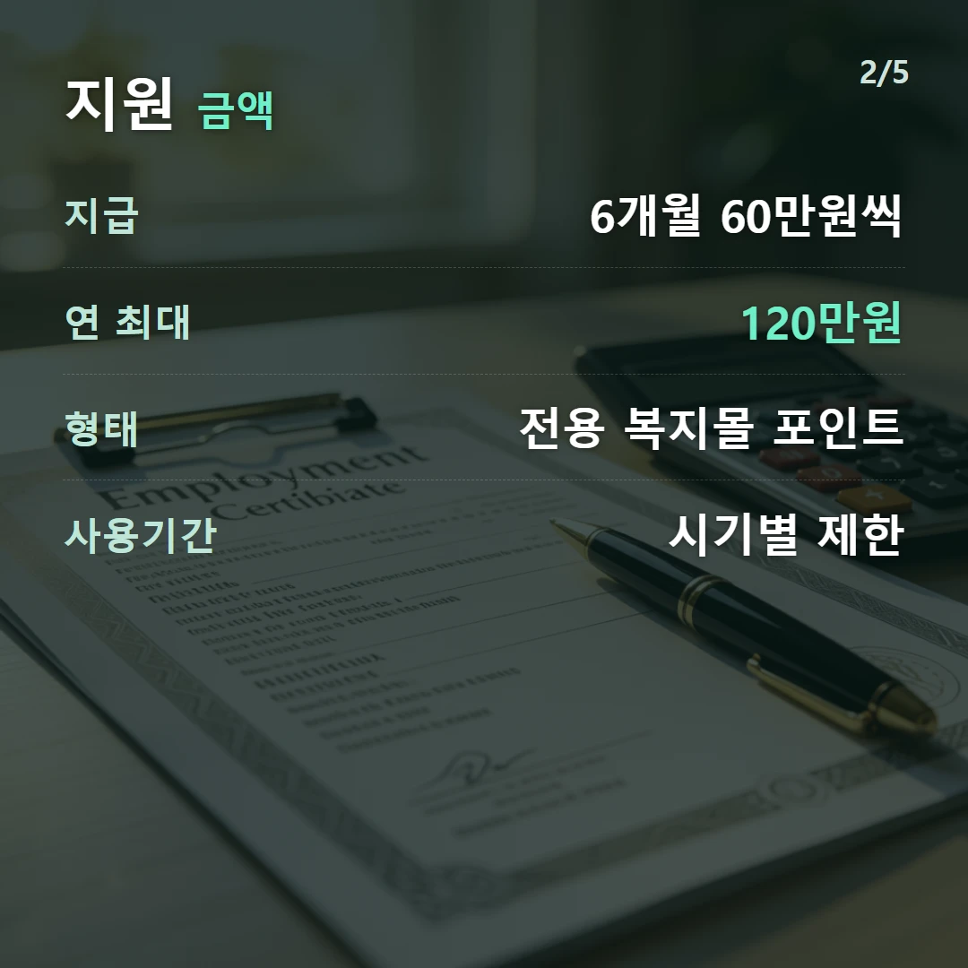 지원 금액 — 지급 6개월 60만원씩, 연 최대 120만원, 형태 전용 복지몰 포인트, 사용기간 시기별 제한