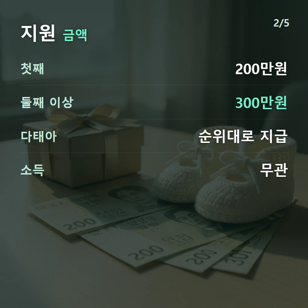 지원 금액 — 첫째 200만원, 둘째 이상 300만원, 다태아 순위대로 지급, 소득 무관