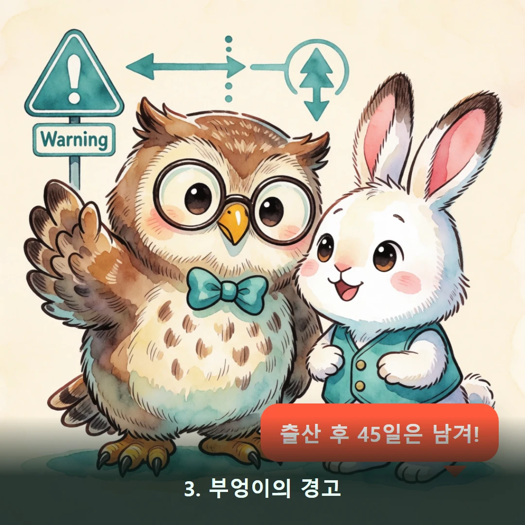 웹툰 3컷 — 3. 부엉이의 경고 (출산 후 45일은 남겨!)