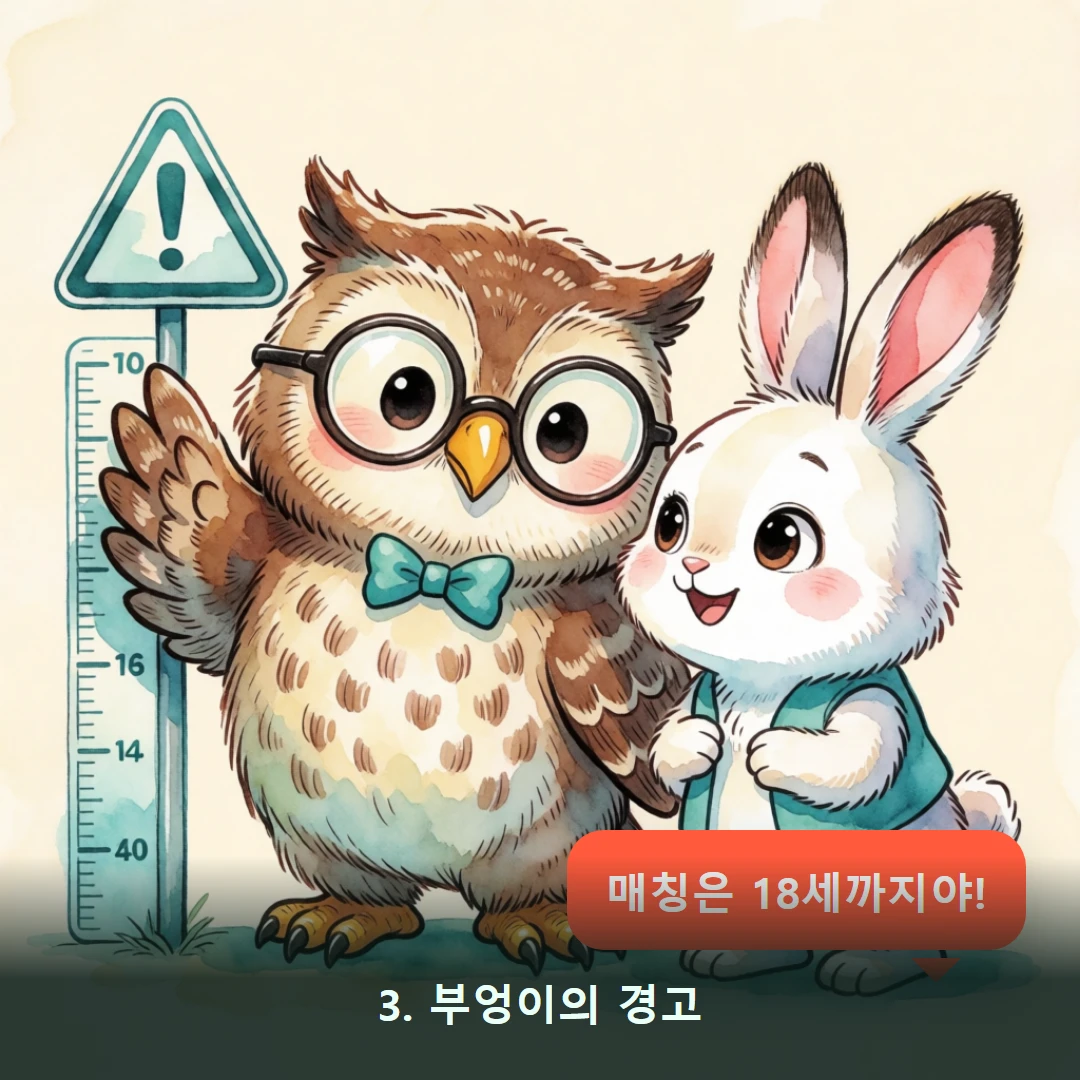 웹툰 3컷 — 3. 부엉이의 경고 (매칭은 18세까지야!)