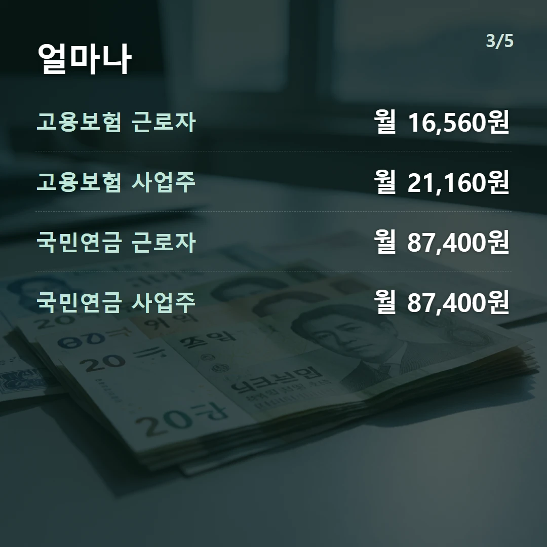 얼마나 — 고용보험 근로자 월 16,560원, 고용보험 사업주 월 21,160원, 국민연금 근로자 월 87,400원, 국민연금 사업주 월 87,400원
