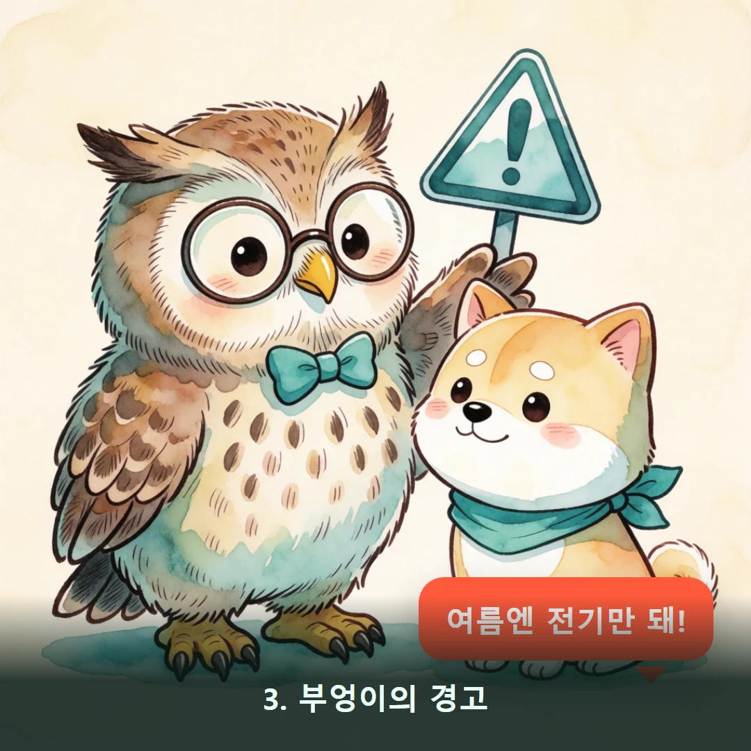 웹툰 3컷 — 3. 부엉이의 경고 (여름엔 전기만 돼!)