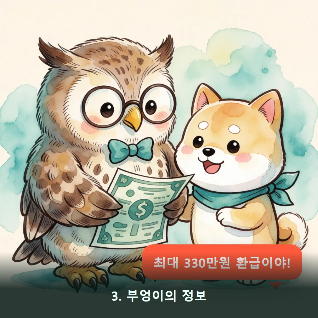 웹툰 3컷 — 3. 부엉이의 정보 (최대 330만원 환급이야!)