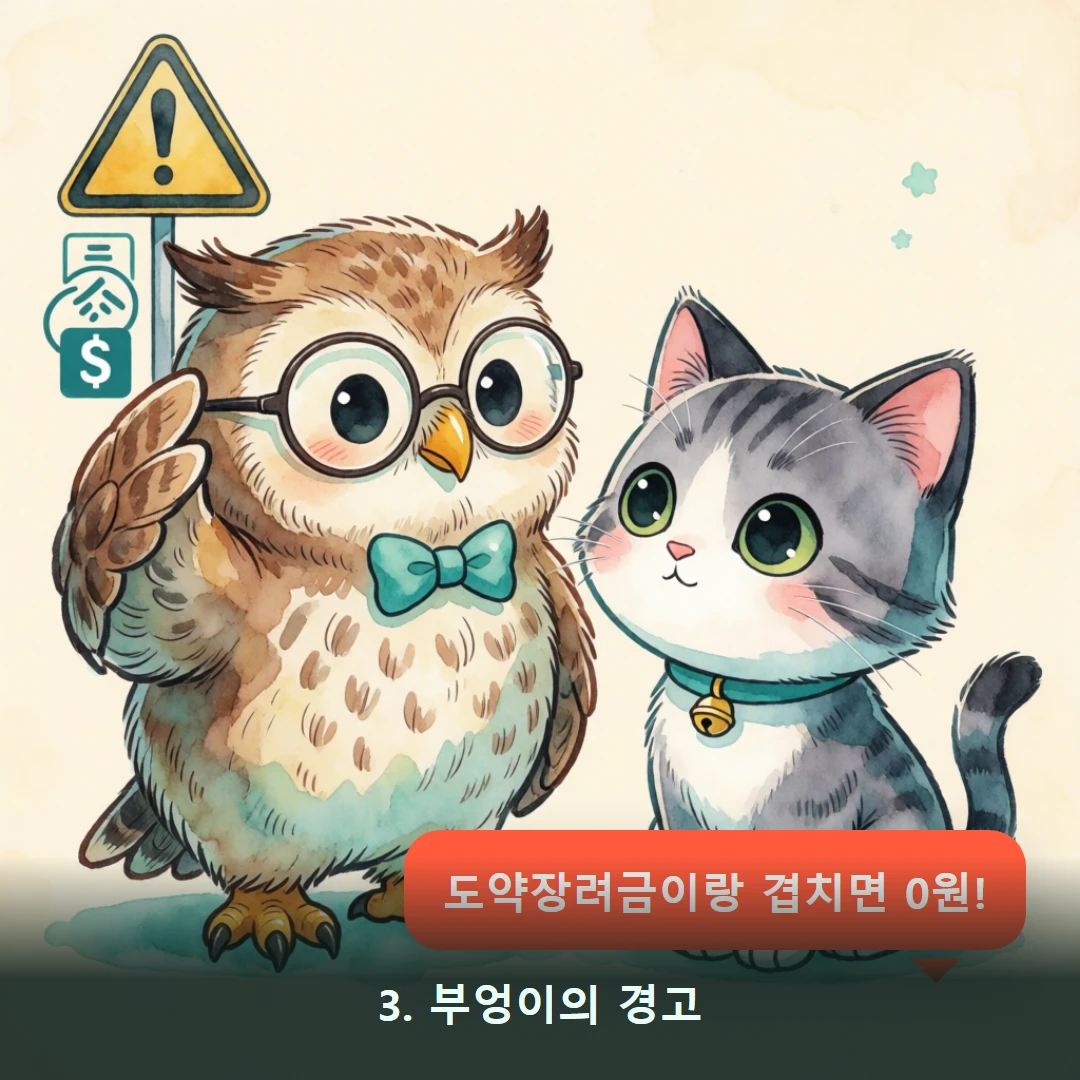 웹툰 3컷 — 3. 부엉이의 경고 (도약장려금이랑 겹치면 0원!)