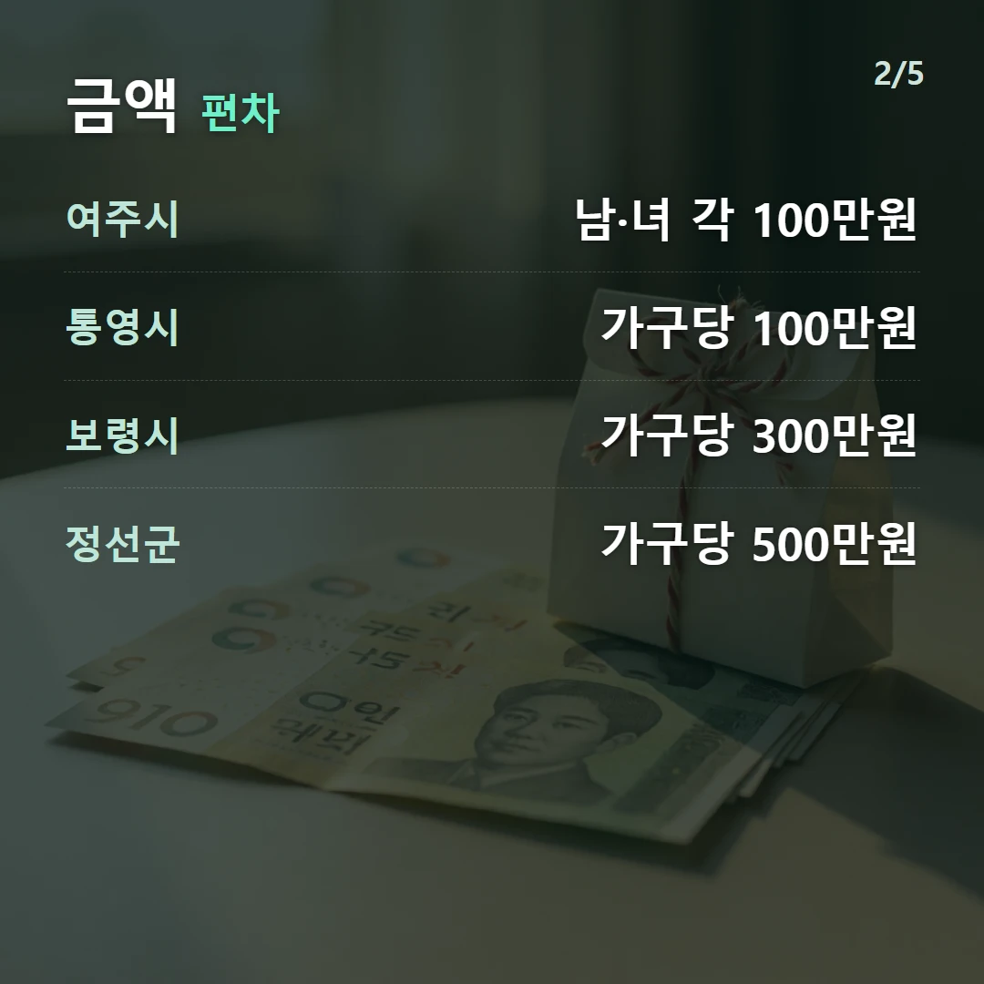 금액 편차 — 여주시 남·녀 각 100만원, 통영시 가구당 100만원, 보령시 가구당 300만원, 정선군 가구당 500만원