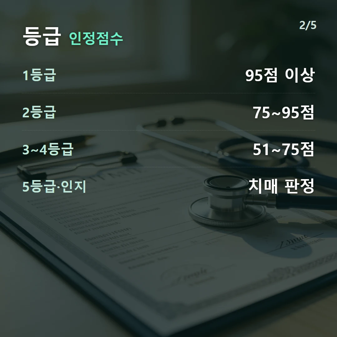 등급 인정점수 — 1등급 95점 이상, 2등급 75~95점, 3~4등급 51~75점, 5등급·인지 치매 판정