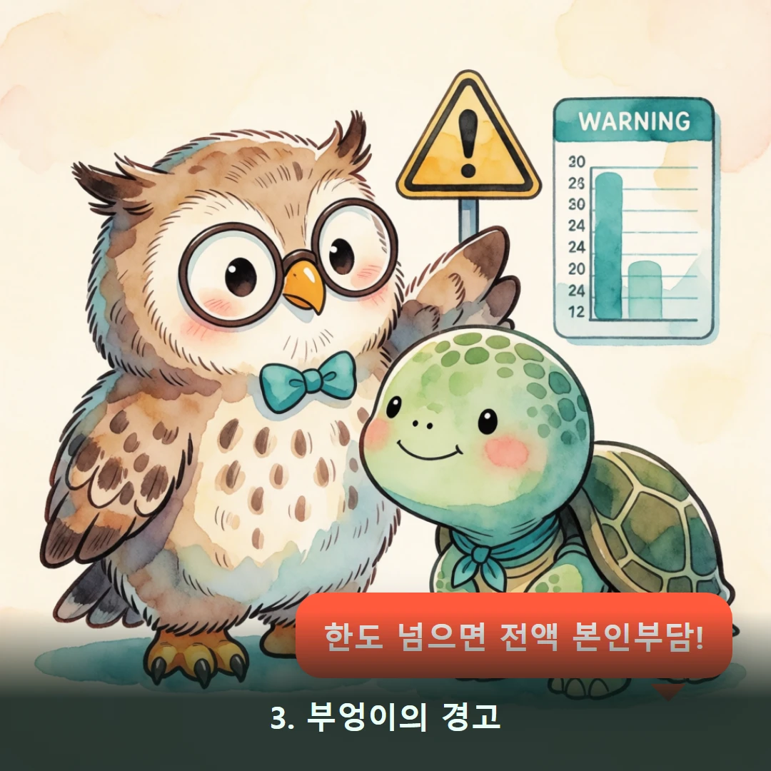 웹툰 3컷 — 3. 부엉이의 경고 (한도 넘으면 전액 본인부담!)