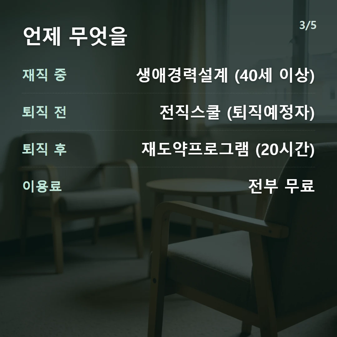 언제 무엇을 — 재직 중 생애경력설계 (40세 이상), 퇴직 전 전직스쿨 (퇴직예정자), 퇴직 후 재도약프로그램 (20시간), 이용료 전부 무료
