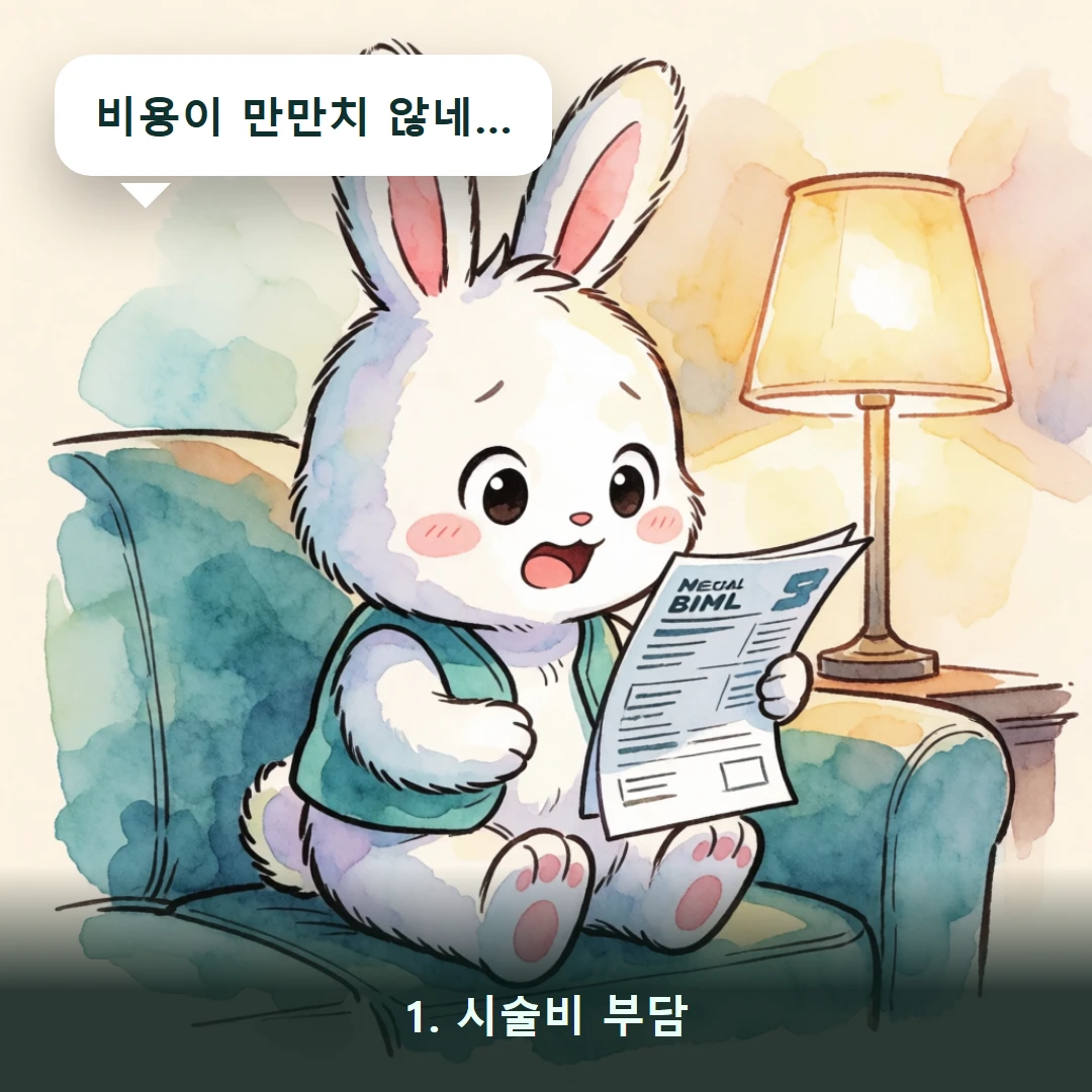 웹툰 1컷 — 1. 시술비 부담 (비용이 만만치 않네…)