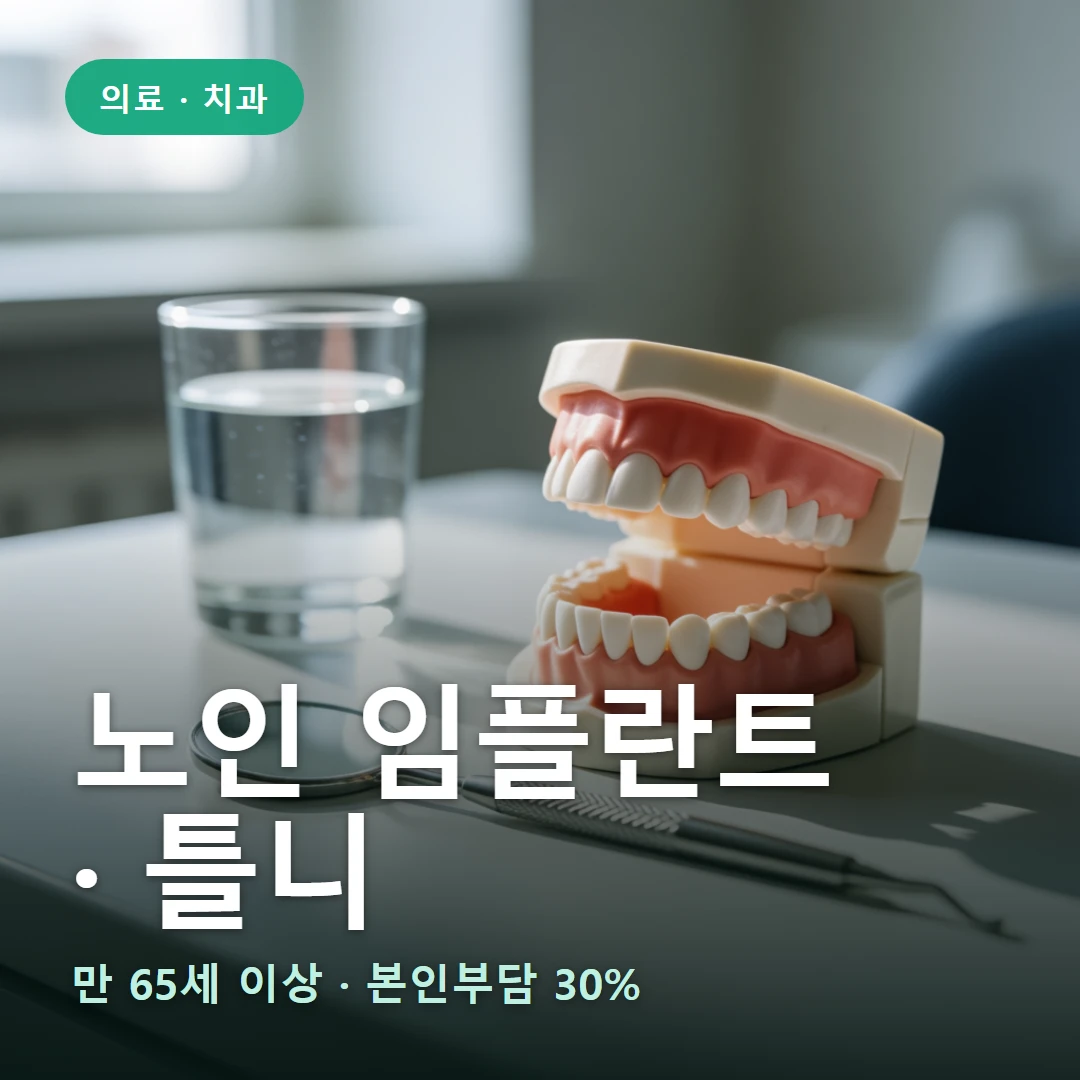 노인 임플란트·틀니 요약 표지 — 만 65세 이상 · 본인부담 30%