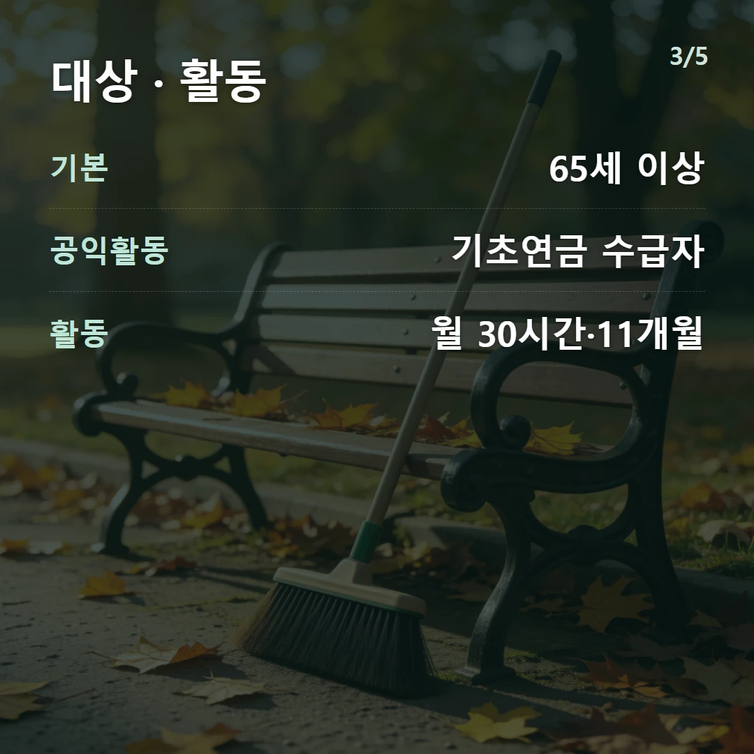 대상 · 활동 — 기본 65세 이상, 공익활동 기초연금 수급자, 활동 월 30시간·11개월