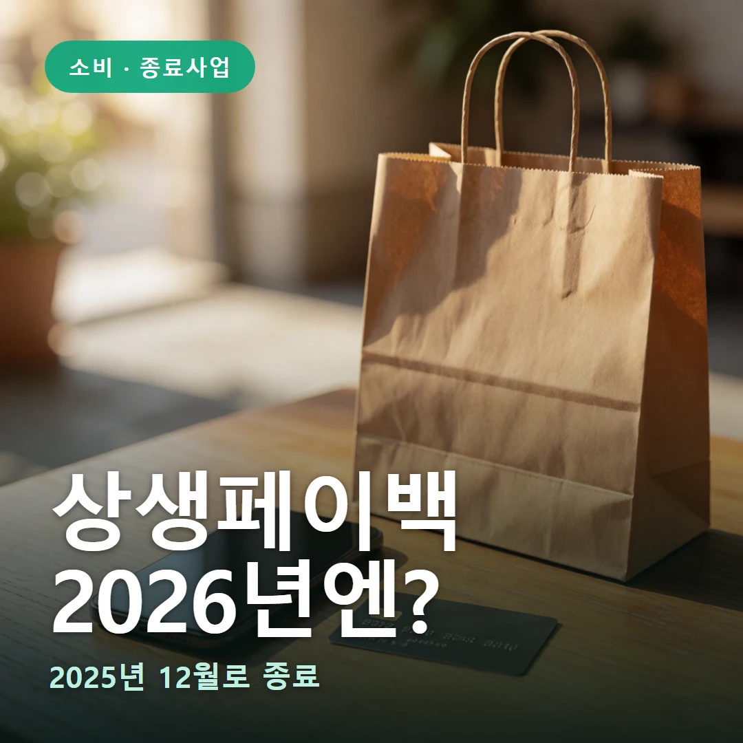 상생페이백 요약 표지 — 2025년 12월로 종료