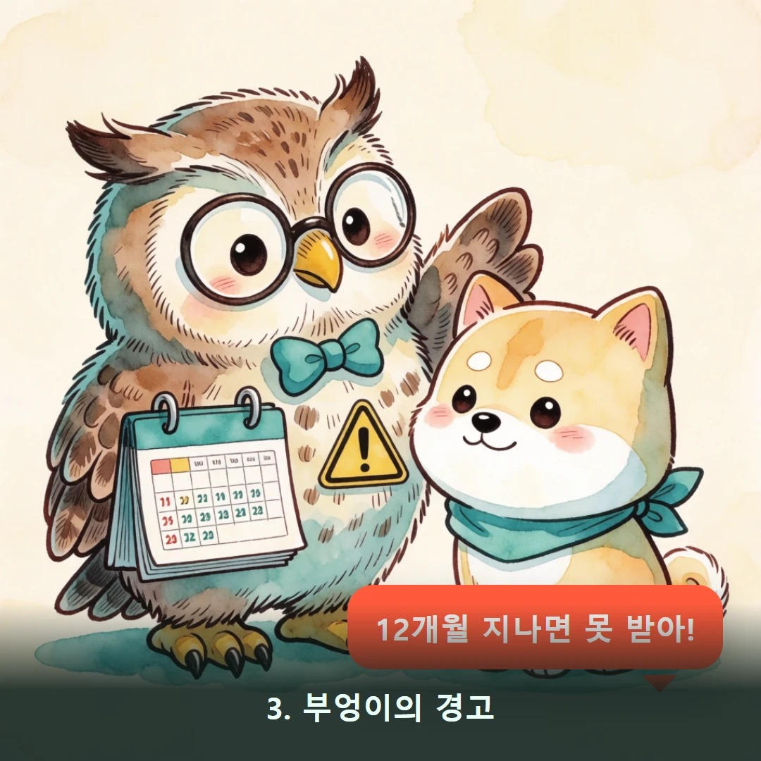 웹툰 3컷 — 3. 부엉이의 경고 (12개월 지나면 못 받아!)