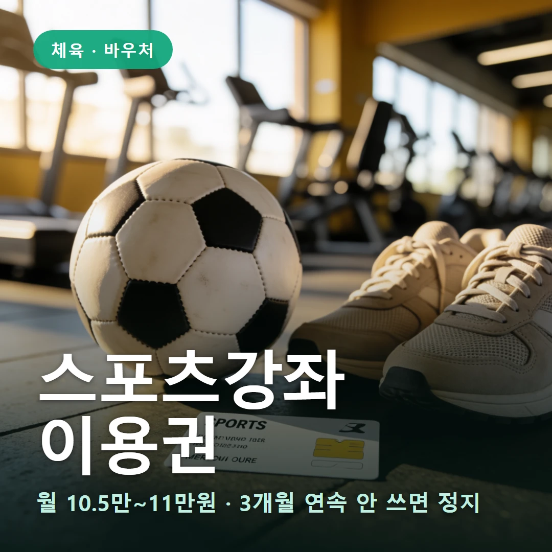 스포츠강좌이용권 요약 표지 — 월 10.5만~11만원 · 3개월 연속 안 쓰면 정지