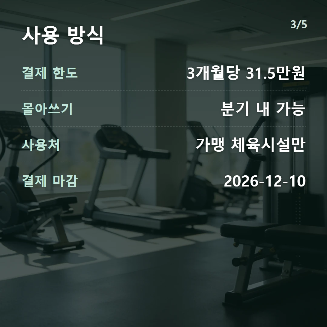 사용 방식 — 결제 한도 3개월당 31.5만원, 몰아쓰기 분기 내 가능, 사용처 가맹 체육시설만, 결제 마감 2026-12-10
