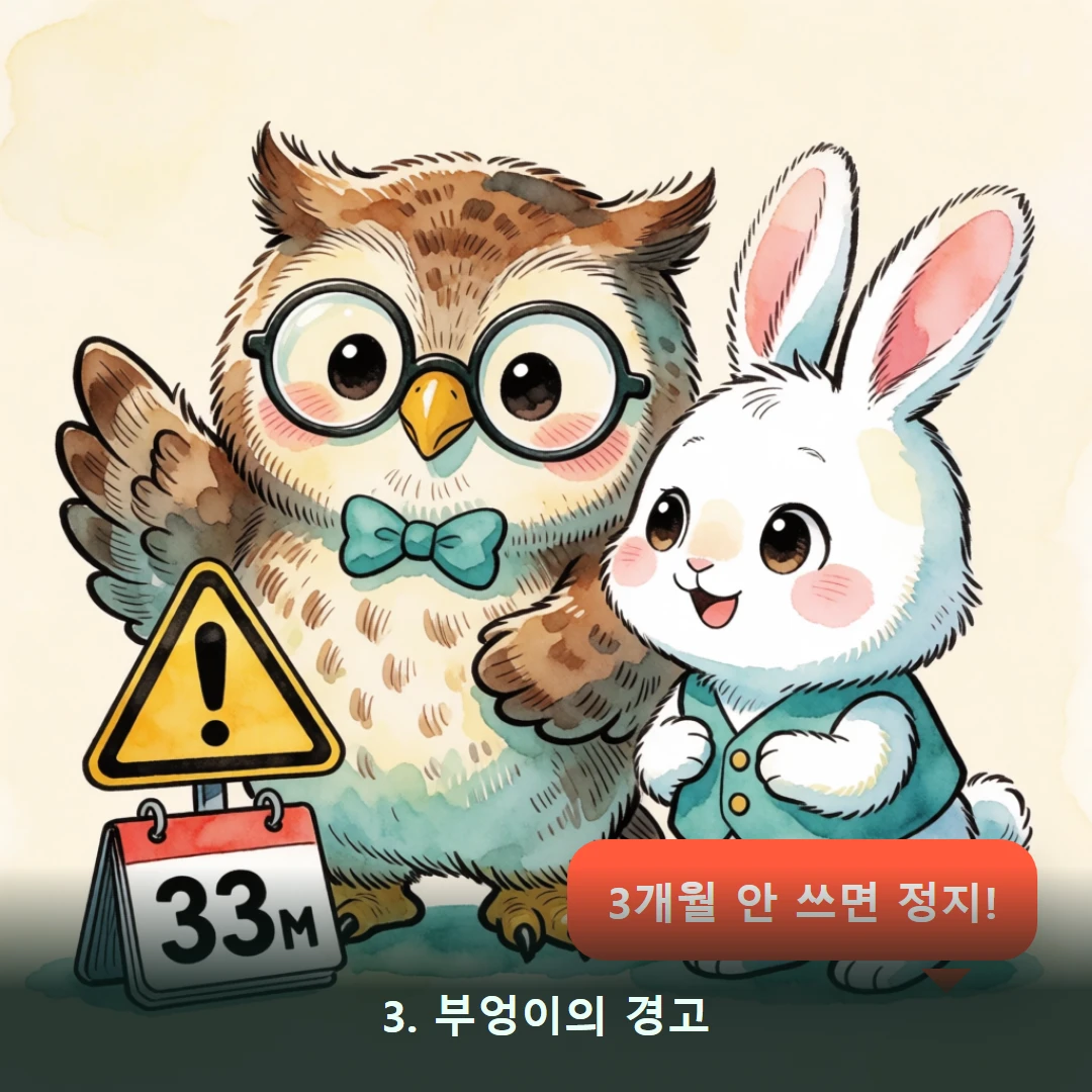 웹툰 3컷 — 3. 부엉이의 경고 (3개월 안 쓰면 정지!)