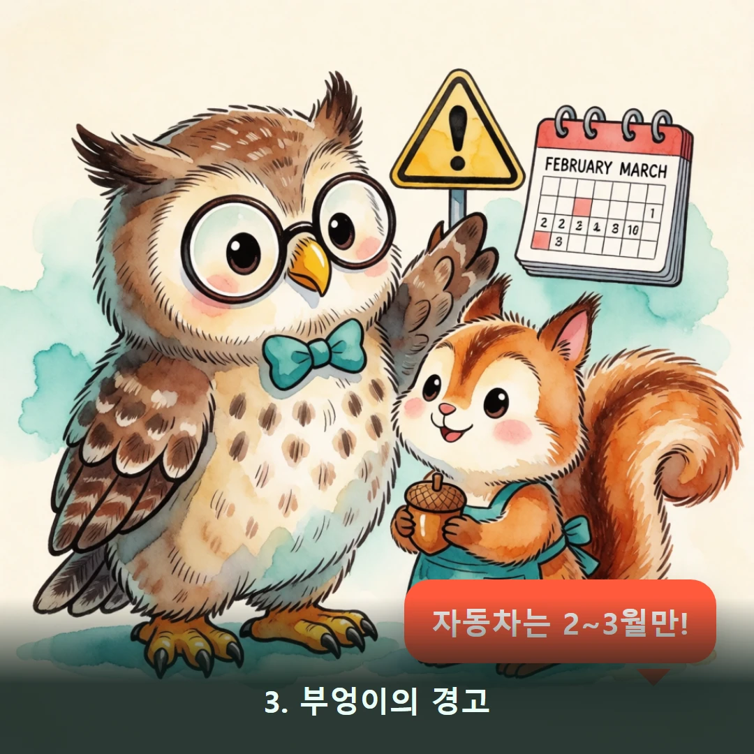 웹툰 3컷 — 3. 부엉이의 경고 (자동차는 2~3월만!)