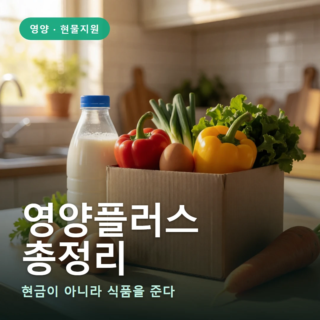 영양플러스 요약 표지 — 현금이 아니라 식품을 준다